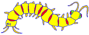 A small gif of a yellow centipede with red bands and green eyes.