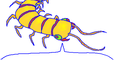 The yellow centipede wiggling its eyes with a speech bubble below