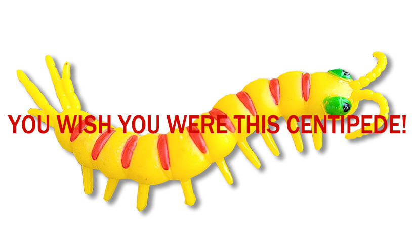 Yellow and red-striped centipede with red text 'You wish you were this centipede!'