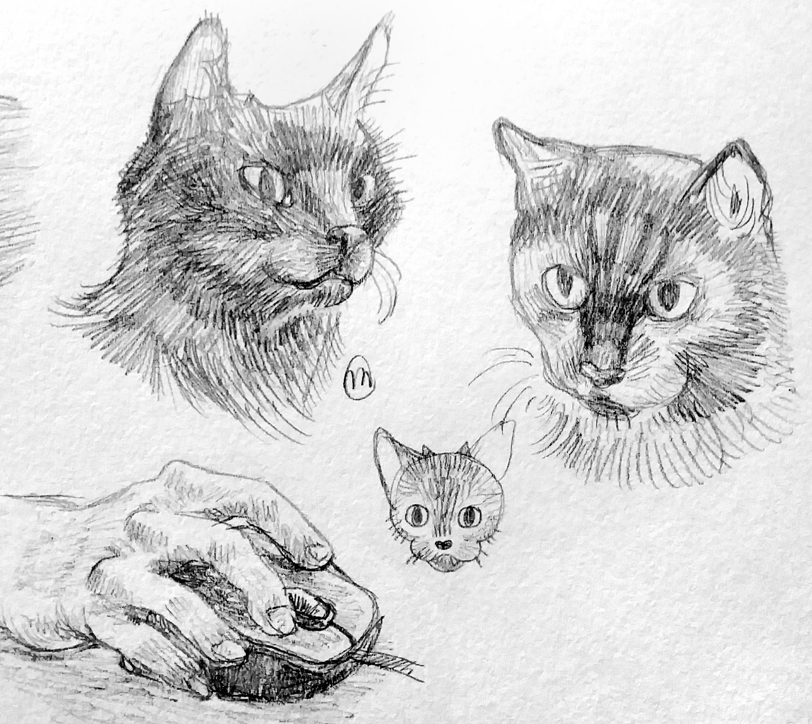 Three drawings of a black cat, and one drawing of a hand on a computer mouse.
